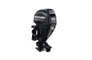 Buy Mercury 25hp Jet Outboard