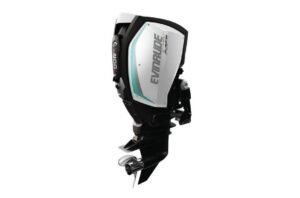 2019 Evinrude 200HP Engine For Sal
