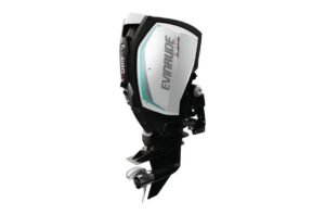 Buy 2019 Evinrude 250HP Outboards