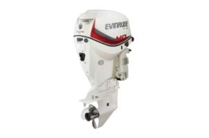 Evinrude 115 HP Outboard For Sale