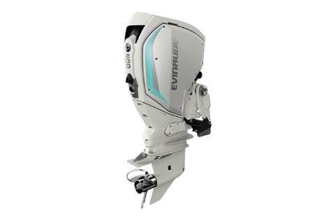 Buy 2020 Evinrude 200 HP Engine | H200WXCA | 25 in. Shaft